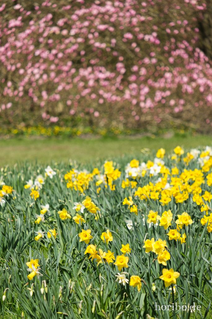 HR-21-04-23-11-51-48-0341