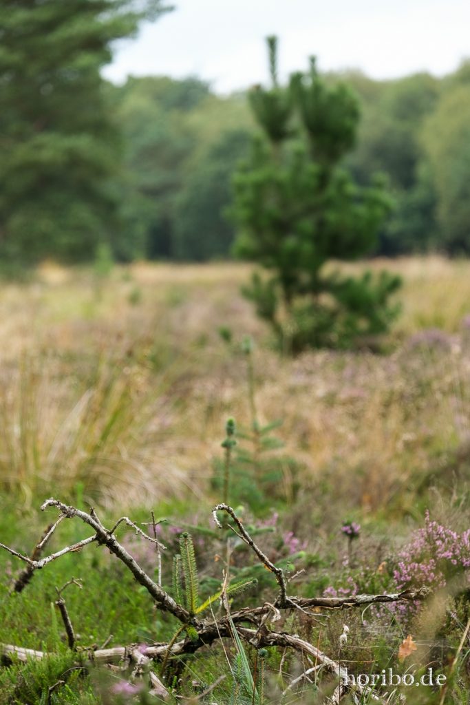 HR-21-09-06-13-49-52-2011