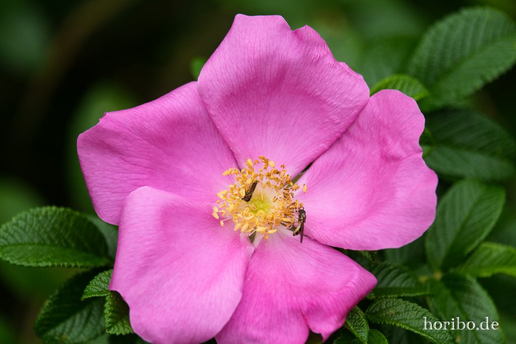 HR-21-09-07-11-27-32-2035