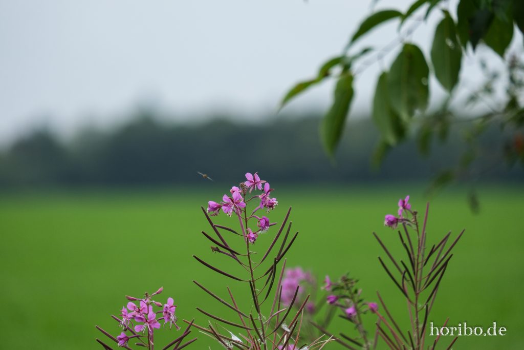 HR-21-09-07-11-54-45-2048