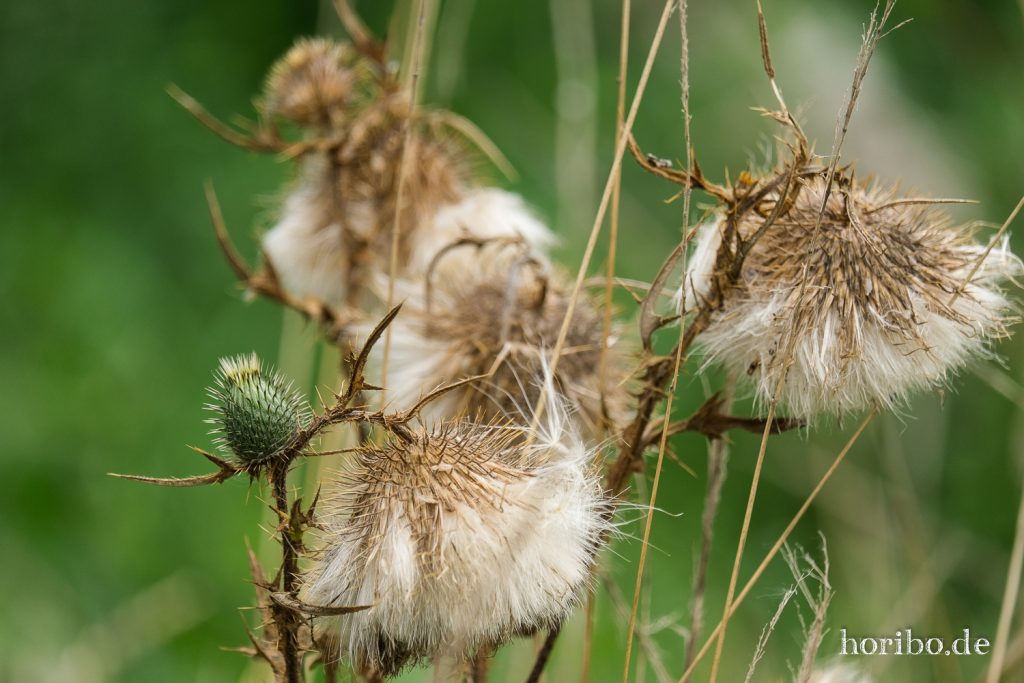 HR-21-09-07-11-57-24-2052