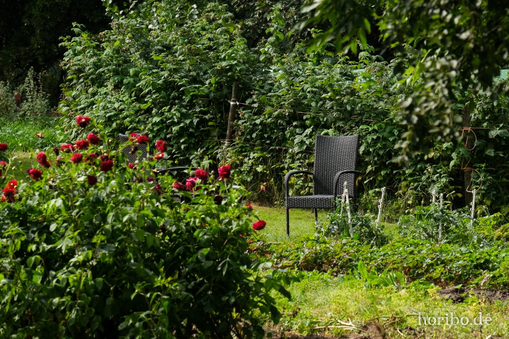 HR-21-09-07-12-30-51-2084