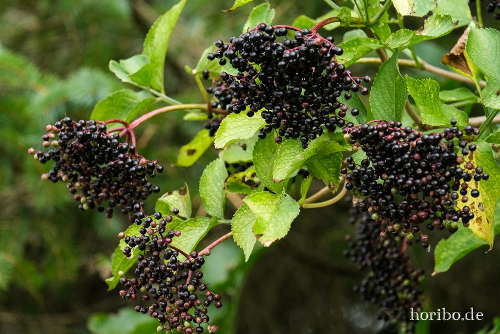 HR-21-09-07-12-34-21-2087