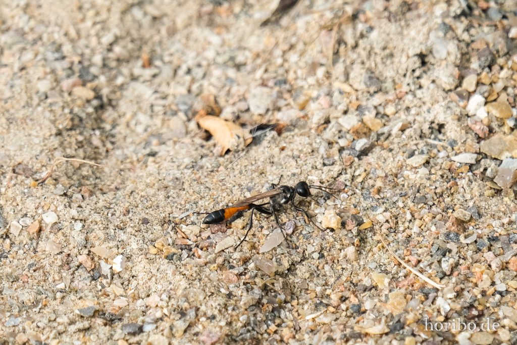 HR-21-09-07-12-36-32-2088