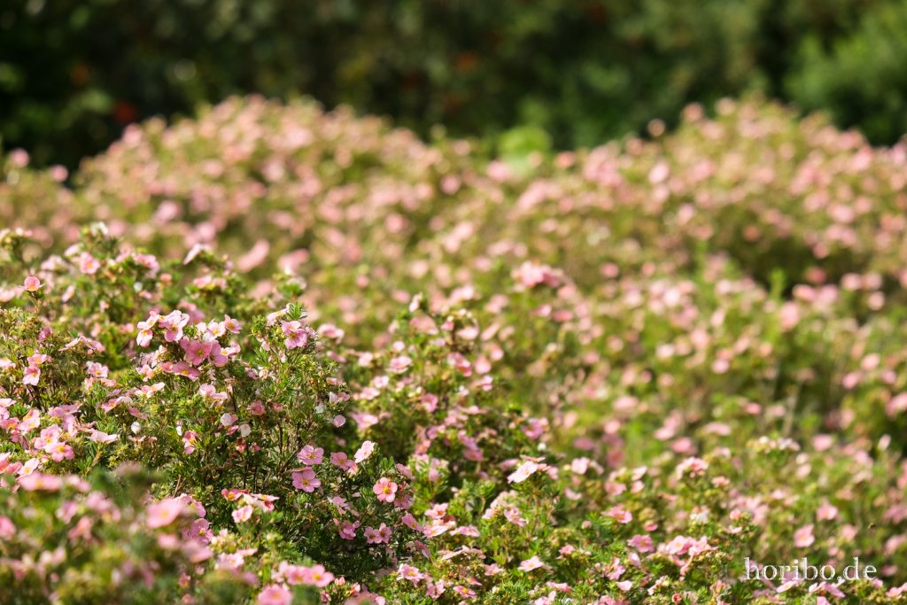 HR-21-09-07-12-58-04-2120