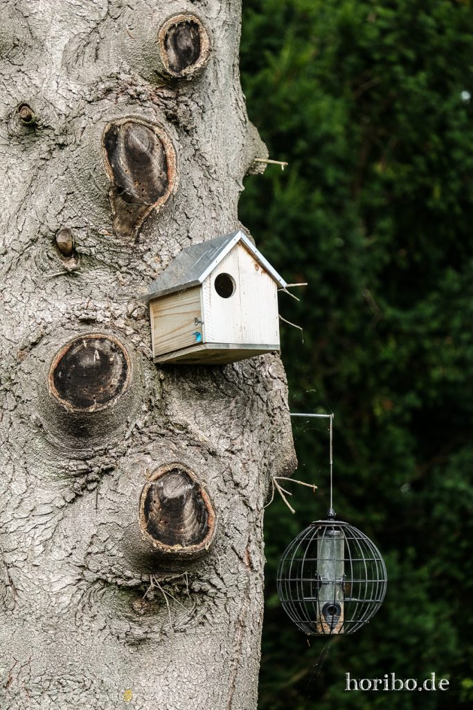 HR-21-09-07-13-03-52-2124