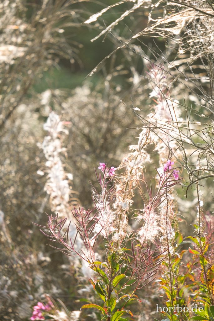 HR-21-09-07-17-11-01-2142