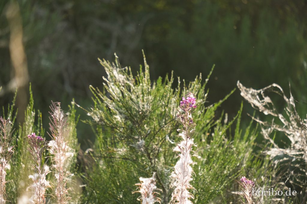 HR-21-09-07-17-12-27-2146