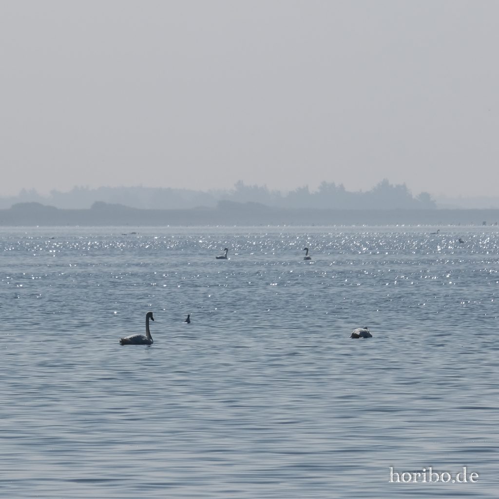 HR-21-09-08-11-25-35-2161