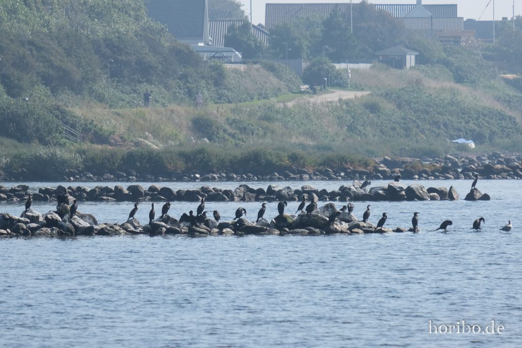 HR-21-09-08-11-52-46-2192