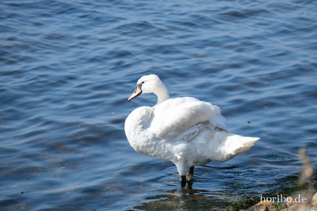 HR-21-09-08-11-53-01-2194