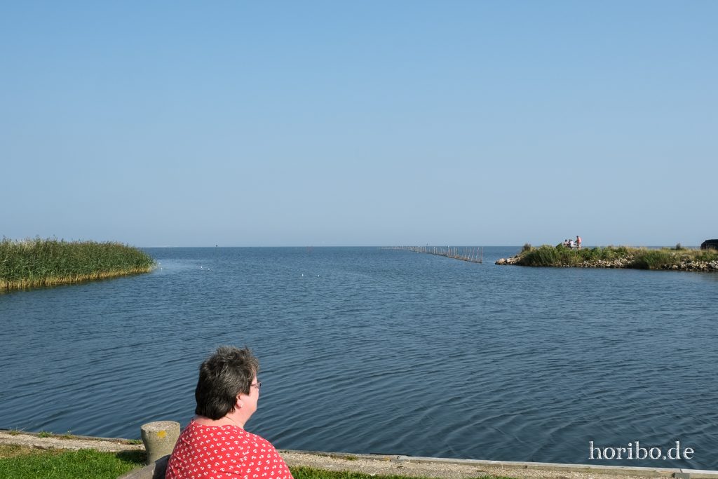 HR-21-09-08-14-09-02-2203