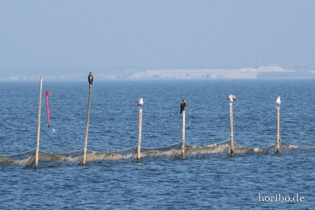 HR-21-09-08-14-18-46-2219