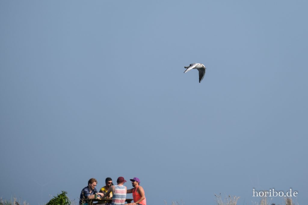 HR-21-09-08-14-23-58-2225