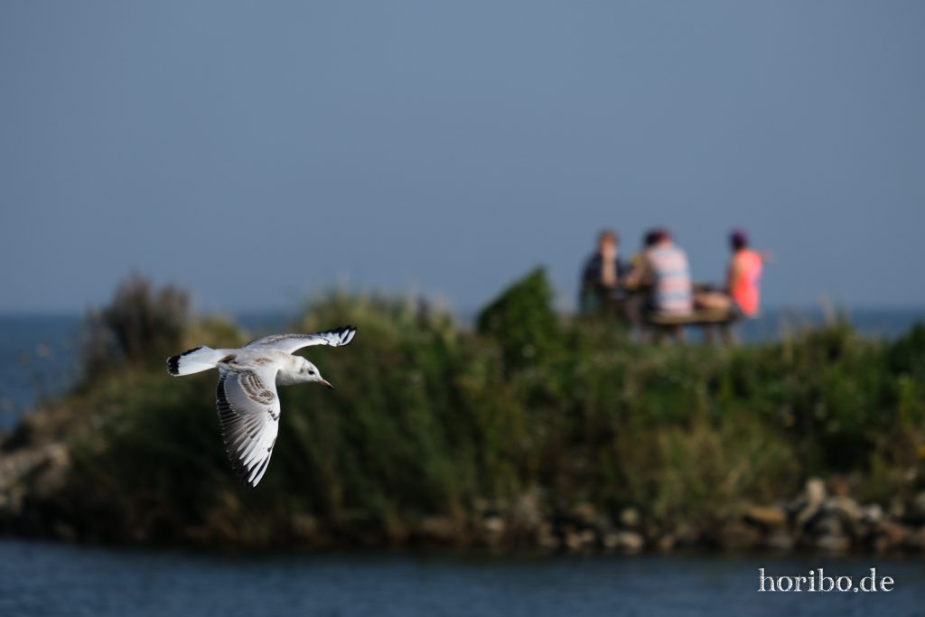 HR-21-09-08-14-24-58-2244