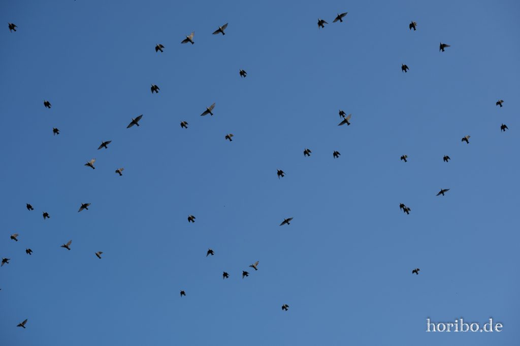 HR-21-09-08-14-25-08-2259