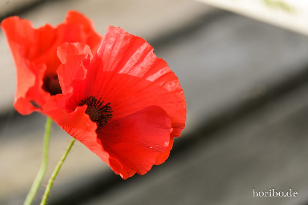 HR-21-09-08-14-27-07-2279