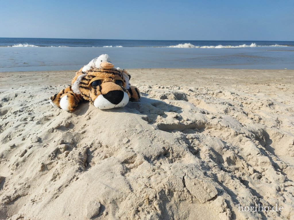 HR-21-09-09-15-17-31-151731