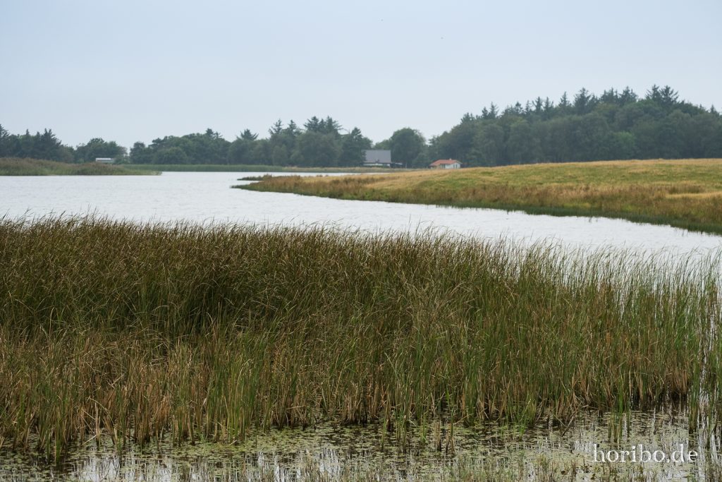 HR-21-09-10-11-19-41-2340