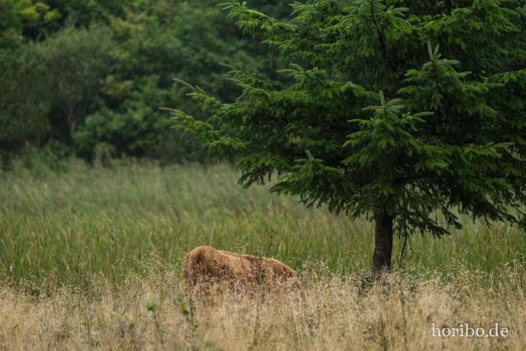 HR-21-09-10-11-27-31-2350