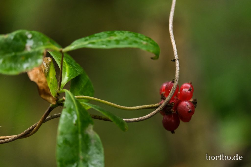 HR-21-09-10-11-42-30-2359