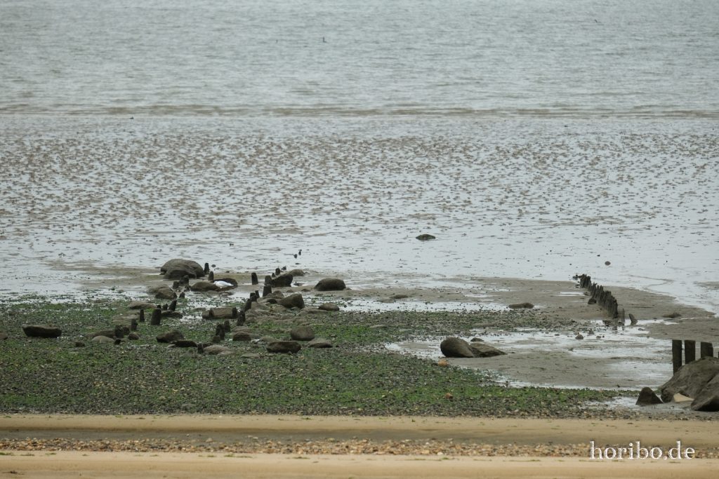 HR-21-09-10-11-47-19-2360