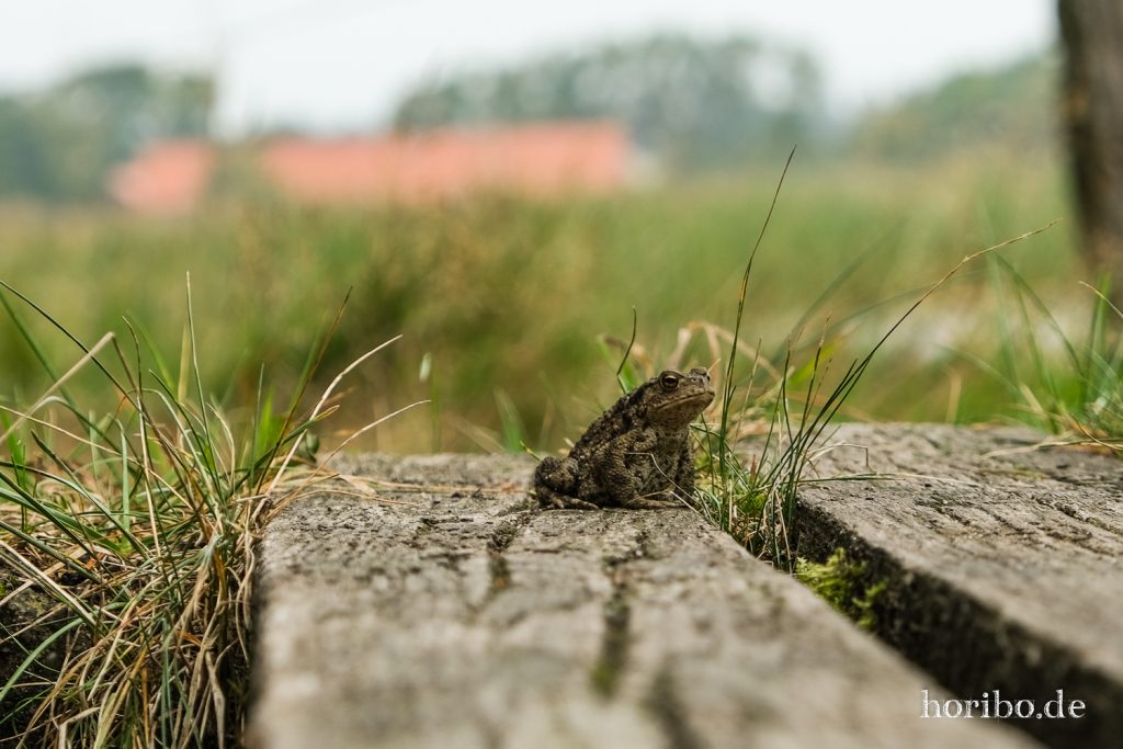 HR-21-09-10-11-53-30-2365