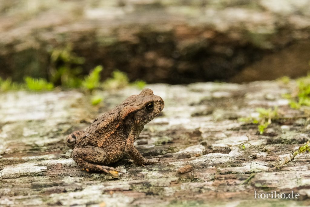 HR-21-09-10-11-58-27-2375