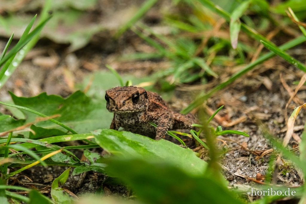 HR-21-09-10-12-07-26-2388