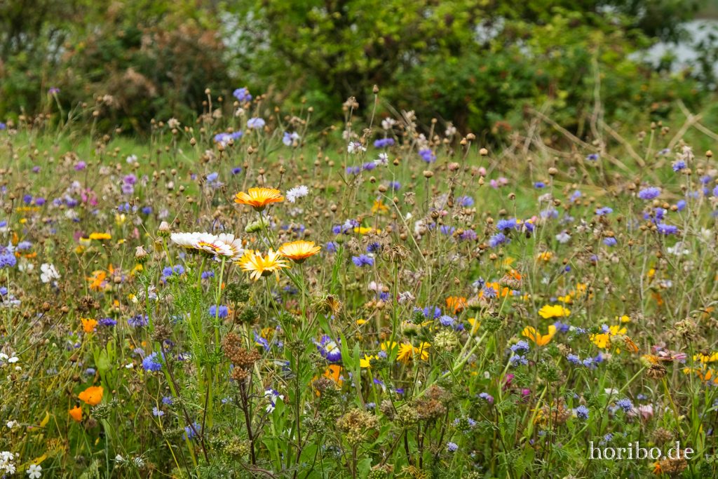 HR-21-09-10-12-36-04-2397