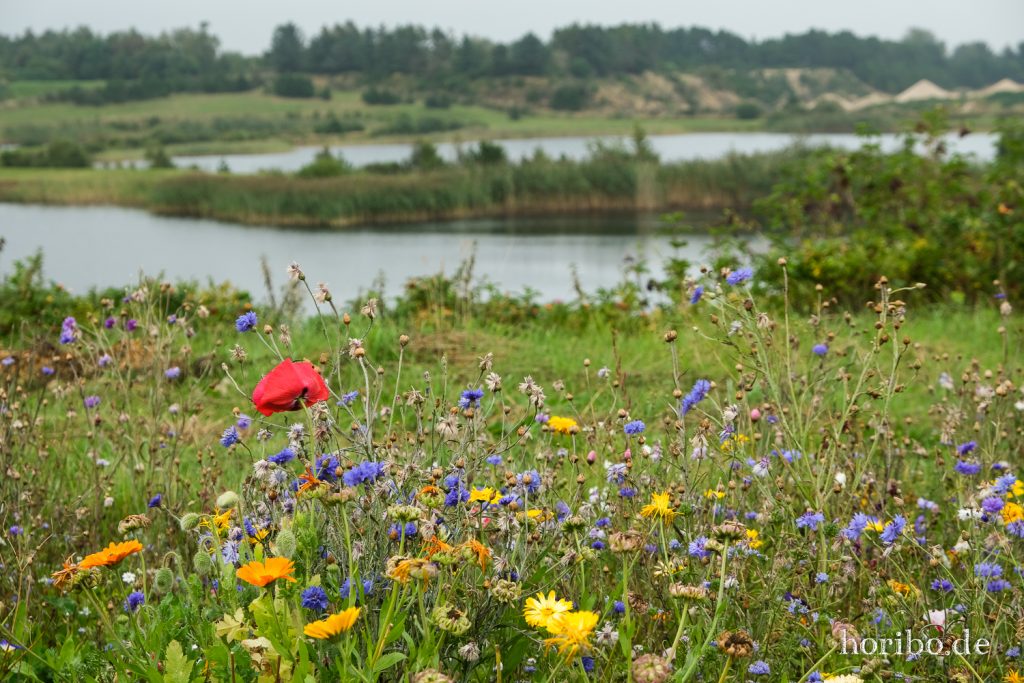 HR-21-09-10-12-36-10-2398