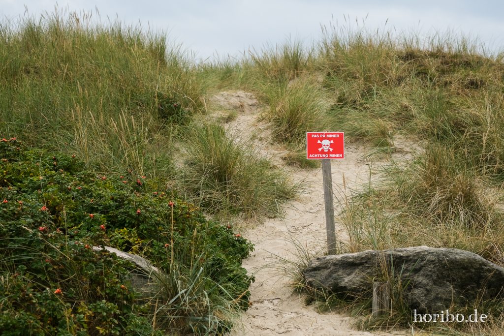 HR-21-09-10-15-41-09-2433