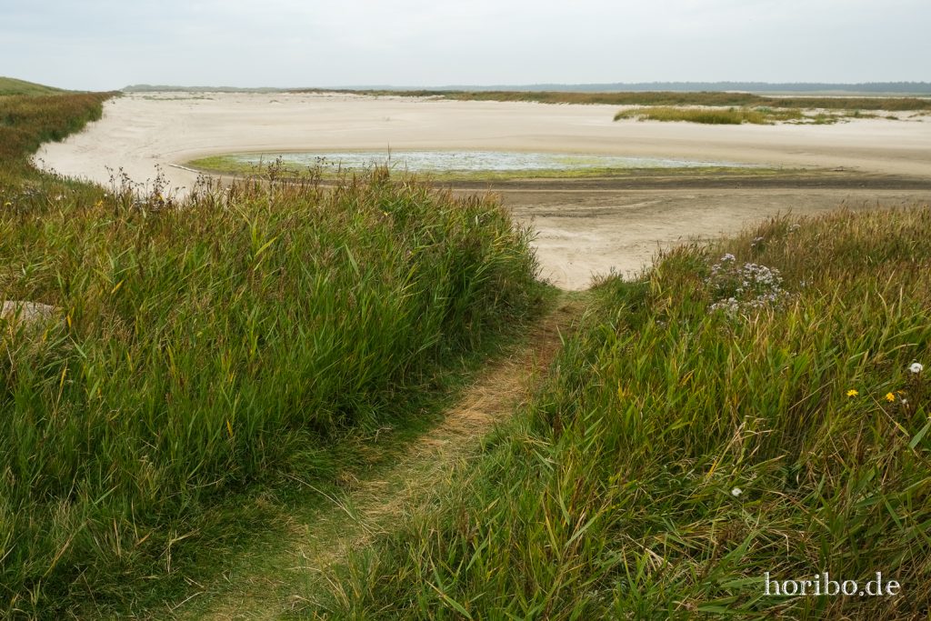 HR-21-09-10-15-42-41-2435