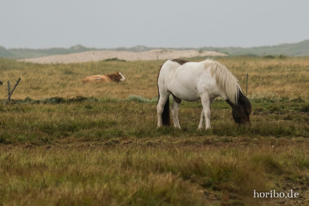 HR-21-09-10-16-03-49-2452