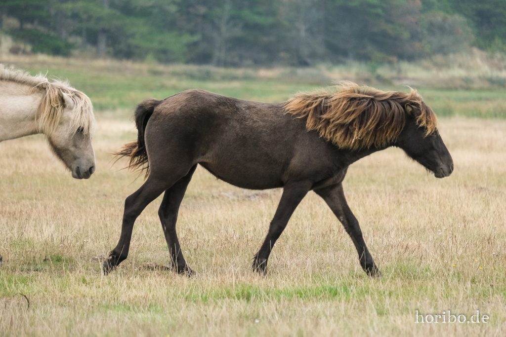 HR-21-09-10-16-05-25-2460