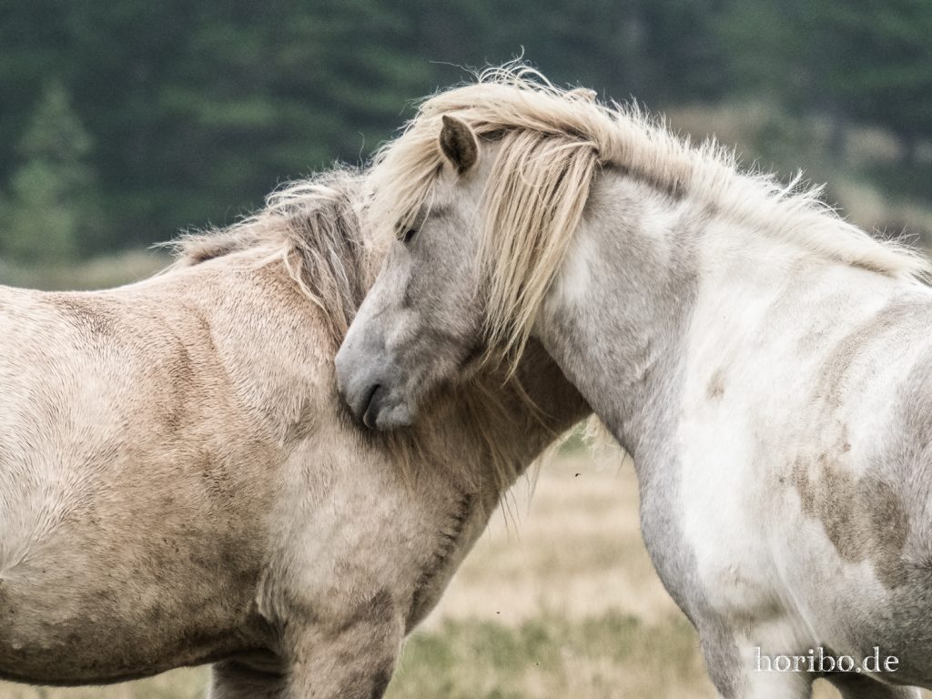 HR-21-09-10-16-05-47-2466