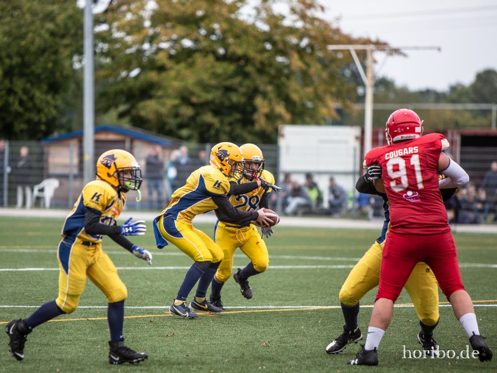 HR-21-10-02-15-17-13-2230