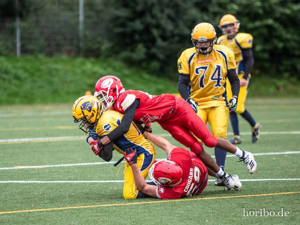 HR-21-10-02-16-07-18-2595