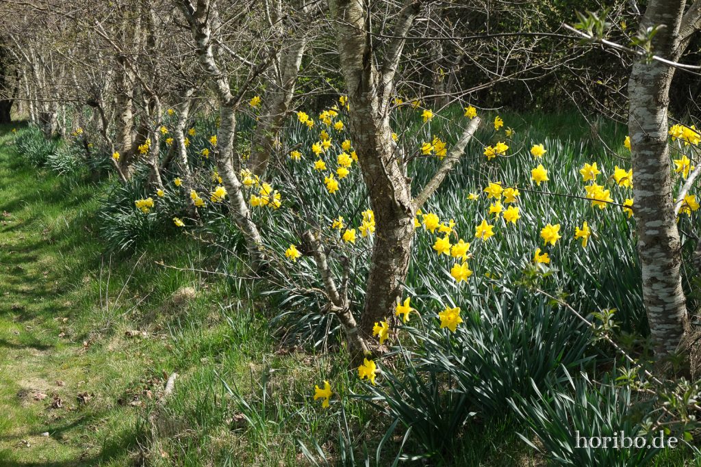 HR-22-04-24-14-32-45-3457