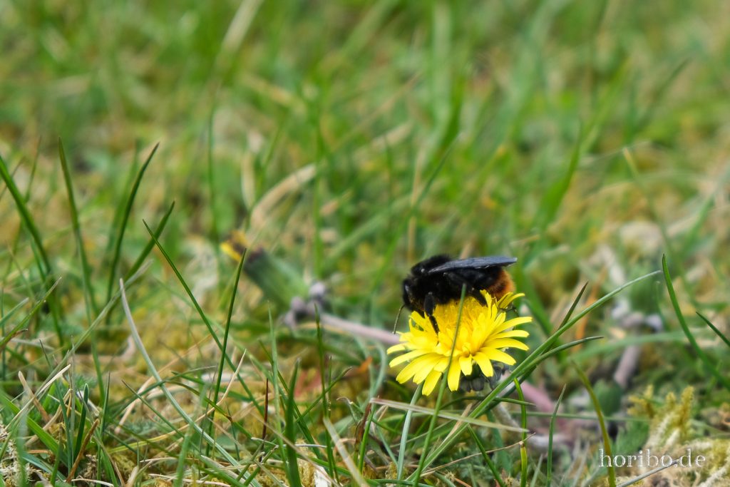 HR-22-04-24-14-37-57-3477