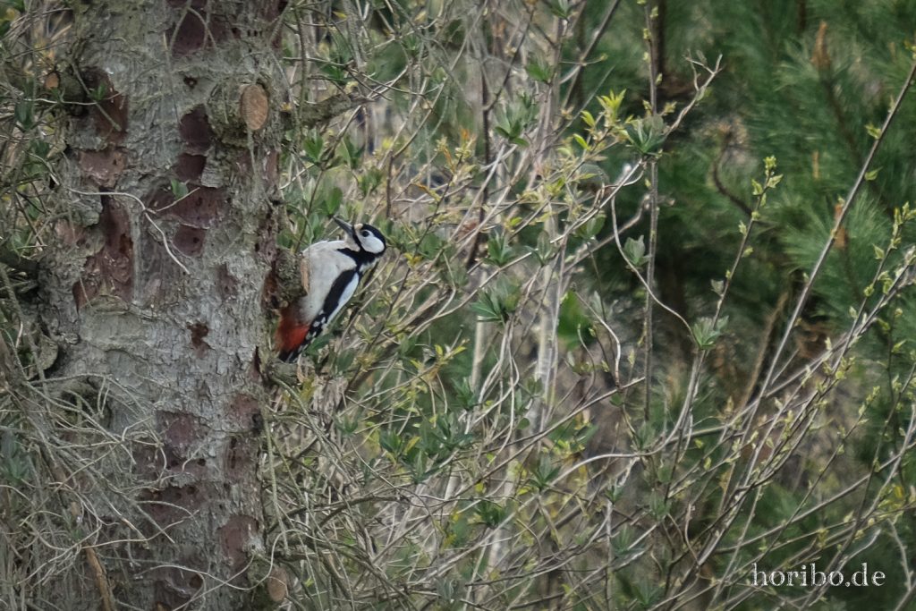 HR-22-04-24-16-19-51-3503