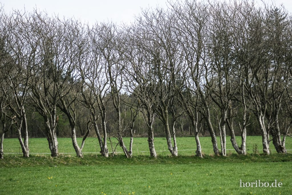 HR-22-04-24-16-51-00-3521