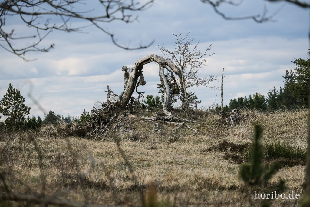 HR-22-04-24-17-44-10-3528