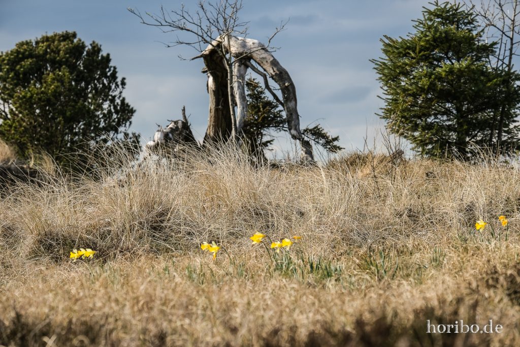 HR-22-04-24-17-46-00-3536