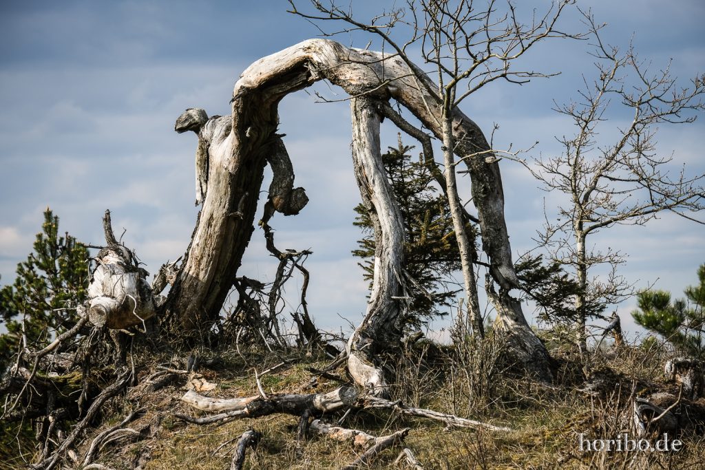 HR-22-04-24-17-48-38-3543