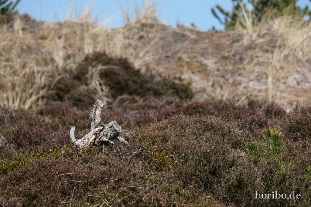 HR-22-04-25-14-03-07-3562