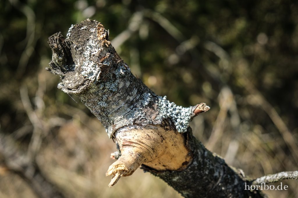 HR-22-04-25-14-11-49-3572