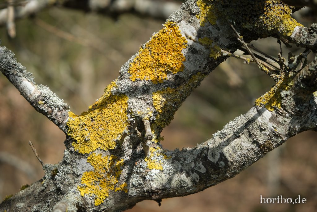 HR-22-04-25-14-17-40-3588