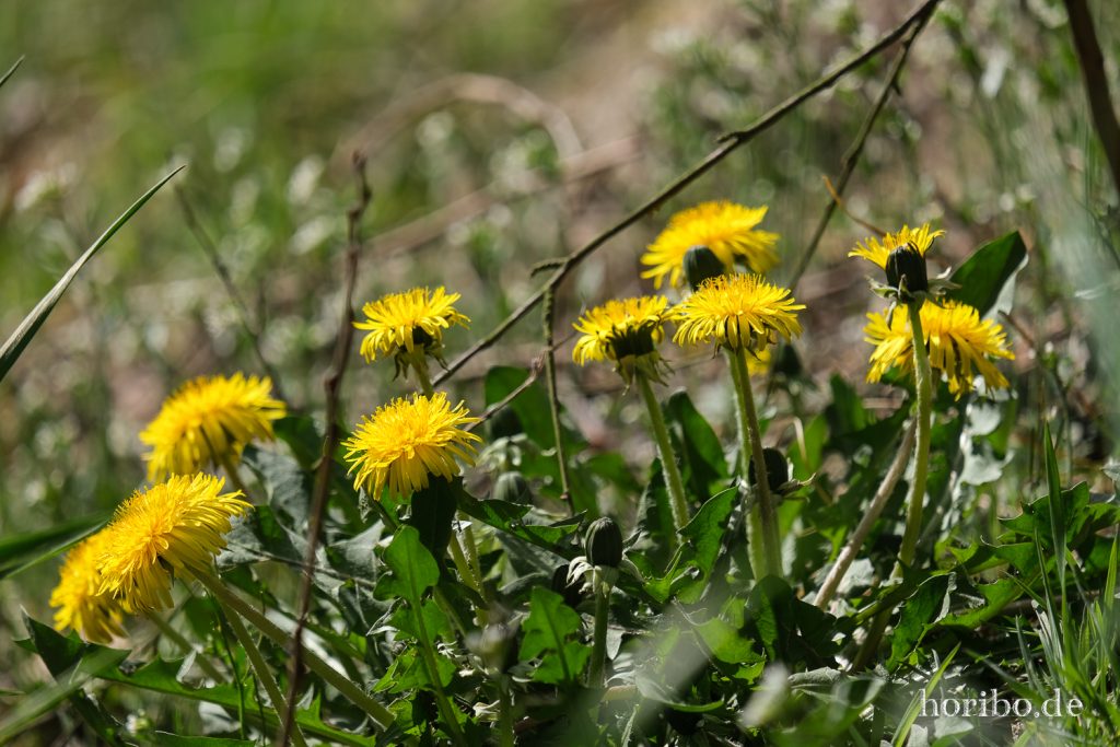 HR-22-04-25-14-23-14-3591