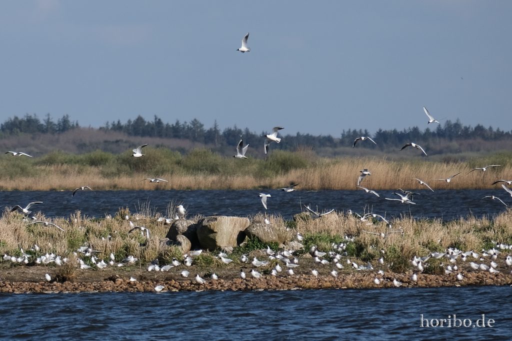 HR-22-04-25-17-58-06-3645